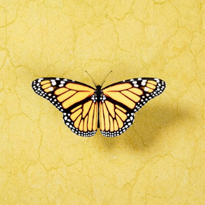 国产亚洲自在精品久久
