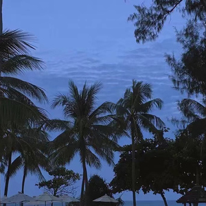 国产亚洲自在精品久久
