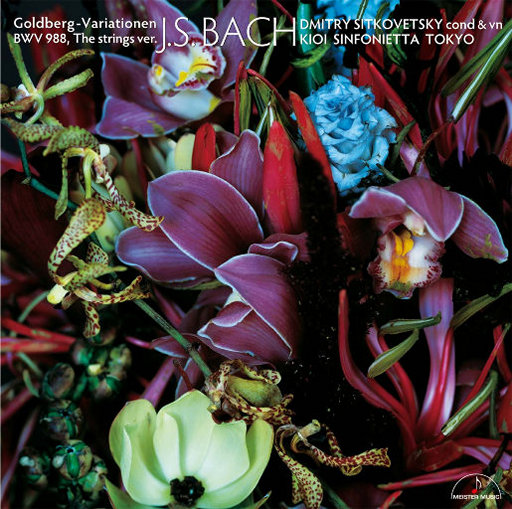 国产亚洲自在精品久久
